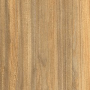 Cerámica Piso Sallus RX59139A HD 4Caras 57x57(2