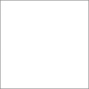 Cerámica Piso Branco Classico VA44464A 44x44(2