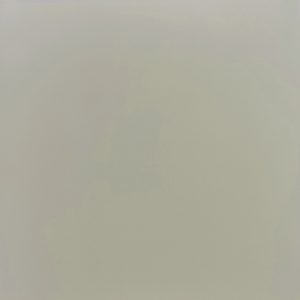 Gres Porcelánico Gris Claro 6702 Rectificado 60x60(1