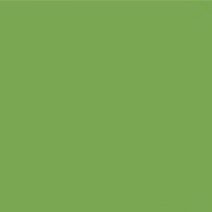 Porcelanato Verde Liso Pulido MA6003Q 60x60(1