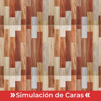 Porc. Madera Tangoy Pulido 60x60(1,44) - Imagen 3