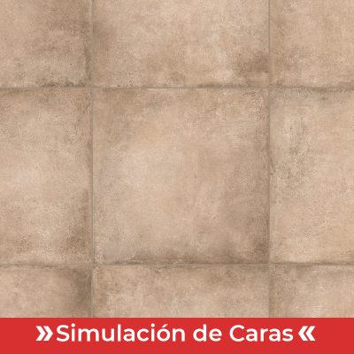 Porc.Terraferma Arena Rect. 6Caras 58x58 (1,68) - Imagen 8
