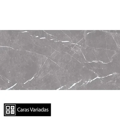 Porcelanato Artic Grey Pulido 12Caras Rectificado 30x60(1,44)