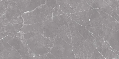 Porcelanato Artic Grey Pulido 12Caras Rectificado 30x60(1,44) - Imagen 19
