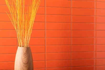 Cerámica Muro Color Mind Mango Brillo 7x25(0,52) - Imagen 9