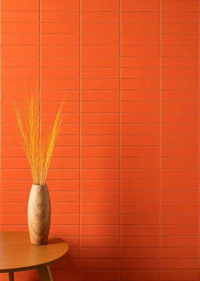 Cerámica Muro Color Mind Mango Brillo 7x25(0,52) - Imagen 8