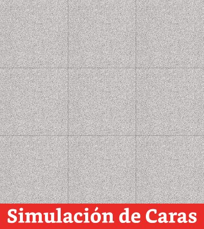 Cerámica Piso Granito Gris 33x33(1,96) - Imagen 5