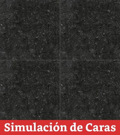 Gres Porcelánico Shellstone Black Antides. Deston. 60x60(1,44) - Imagen 4