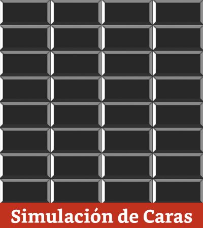 Cerámica Muro Negro Brillo (Metro) Bisel 10x20(1,0)
