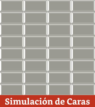 Cerámica Muro Perla Brillo (Metro) Bisel 10x20(1,0) - Imagen 4