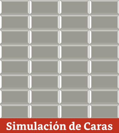 Cerámica Muro Sage Brillo (Metro) Bisel 10x20(1,0) - Imagen 3