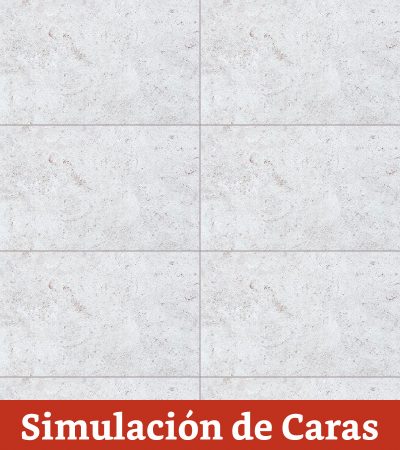 Cerámica Muro Frost Fiorito Deston. Rect. 25x40(1,5) - Imagen 4