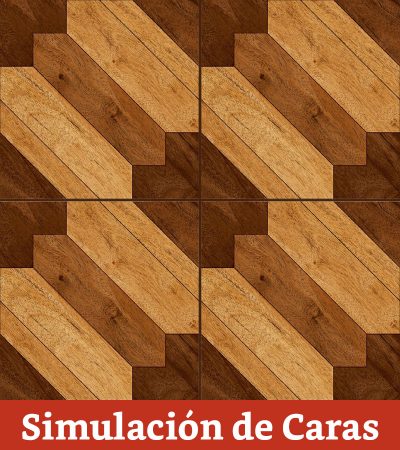 Cerámica Piso Country RX44473A 44x44(2,5) - Imagen 8