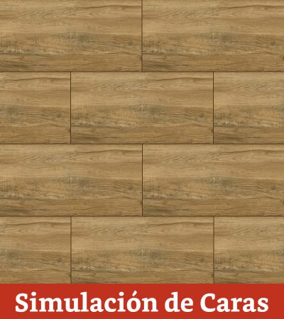 Cerámica Piso Zurique Plus HD Destonalizado 38x75(2,0) - Imagen 7