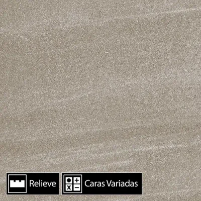 Gres Porcelánico Fiore Gris Oscuro 9Caras Rectificado 60x60(1,44)