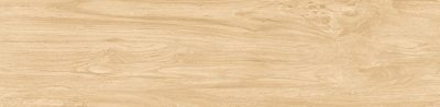 Porcelanato Madera Ecofloor Amendola 24057 4Caras 24,5x100(2,2) - Imagen 15