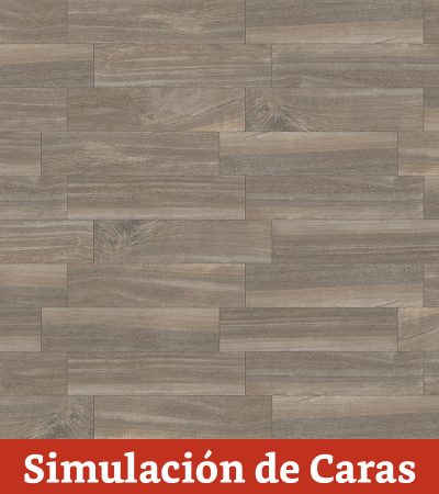 Porcelanato Baoba 24075 10Caras 24,5x100(2,2) - Imagen 15