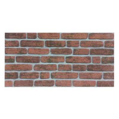 Wonder Wall Brick 215 100x50x2