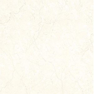 Ariana Hueso 45x45(2,23) 2da